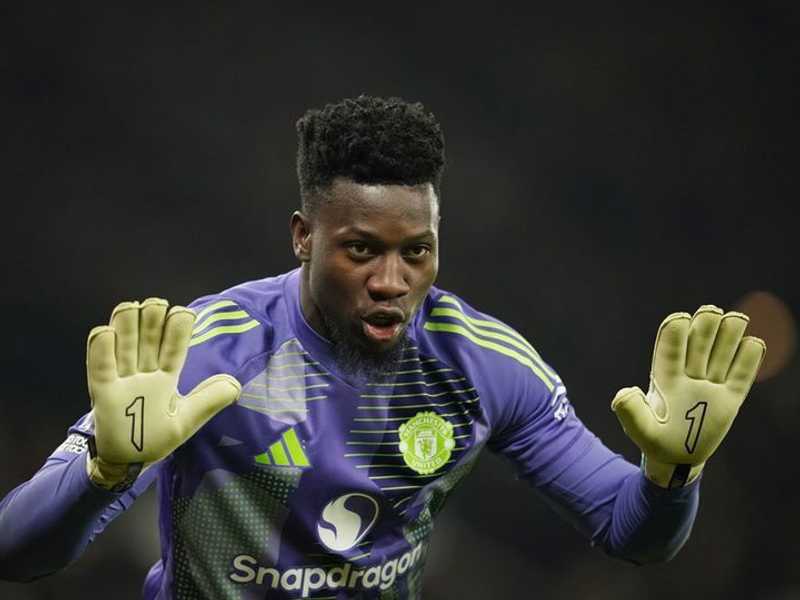 Search image article