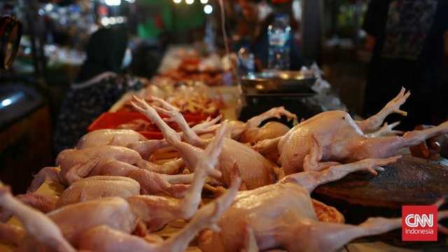 Pedagang ayam di Tangerang keluhkan omzet anjlok akibat harga naik