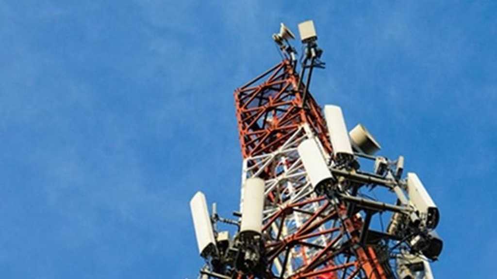 Search image article