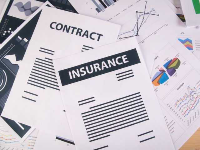 Search image article