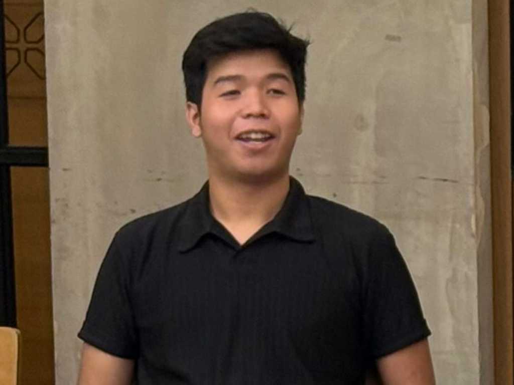 Search image article