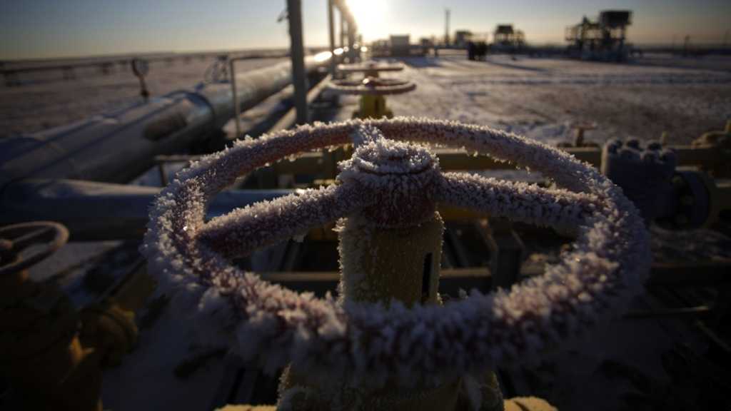 Search image article