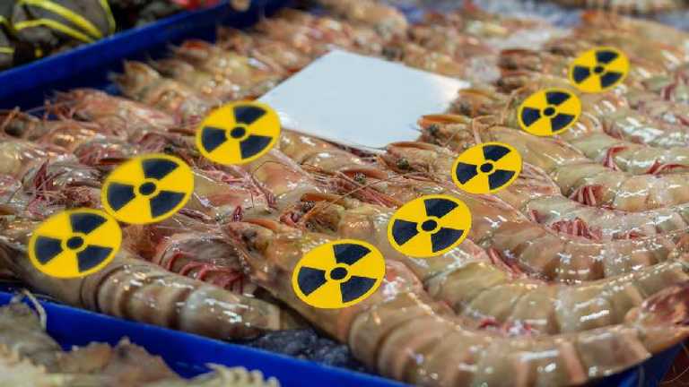 KKP jamin udang Indonesia aman dari radioaktif Cesium-137