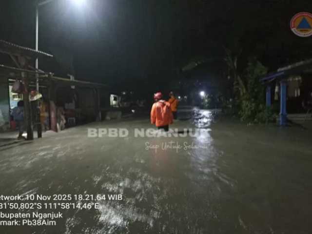 Search image article