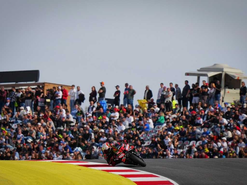 Search image article