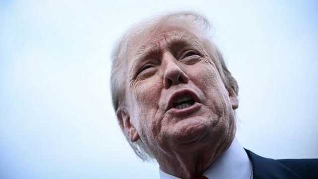 Search image article