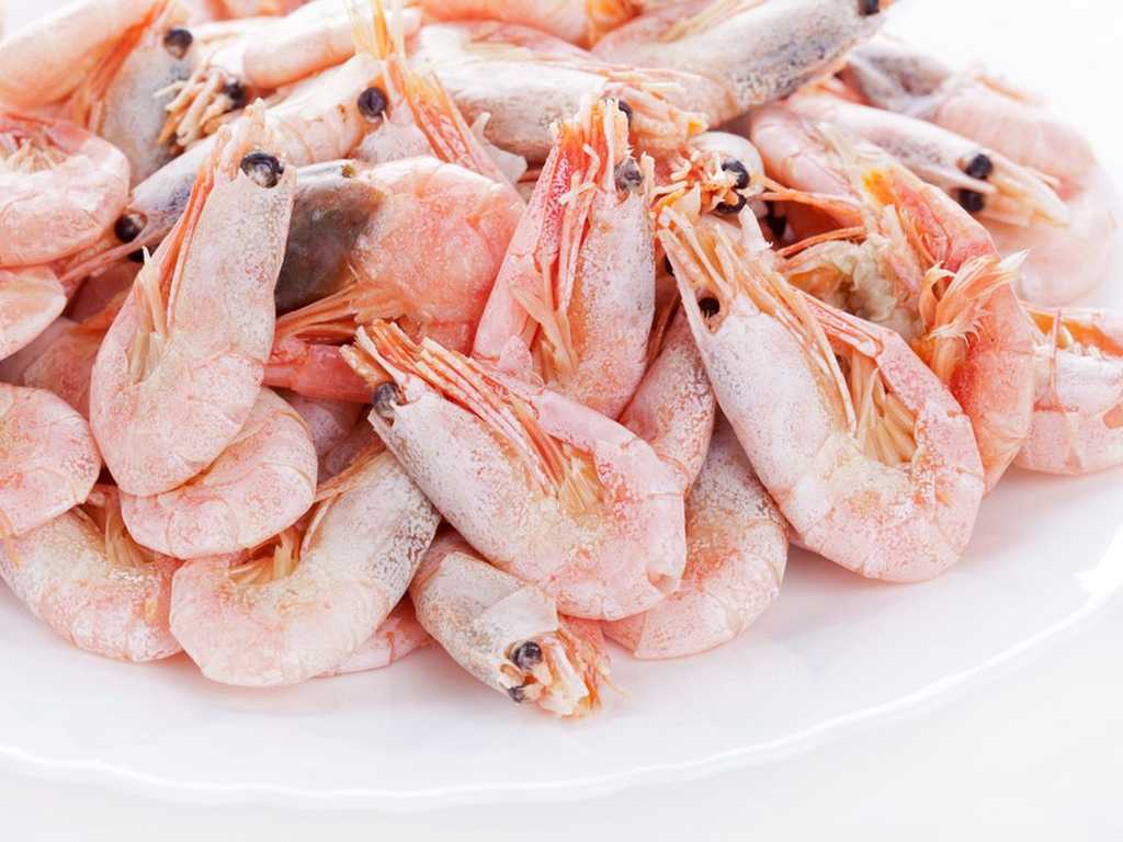 FDA Tarik Udang Indonesia Terkontaminasi Radioaktif, Ekspor Terancam