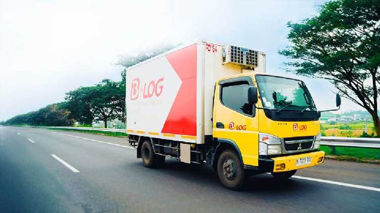 Search image article