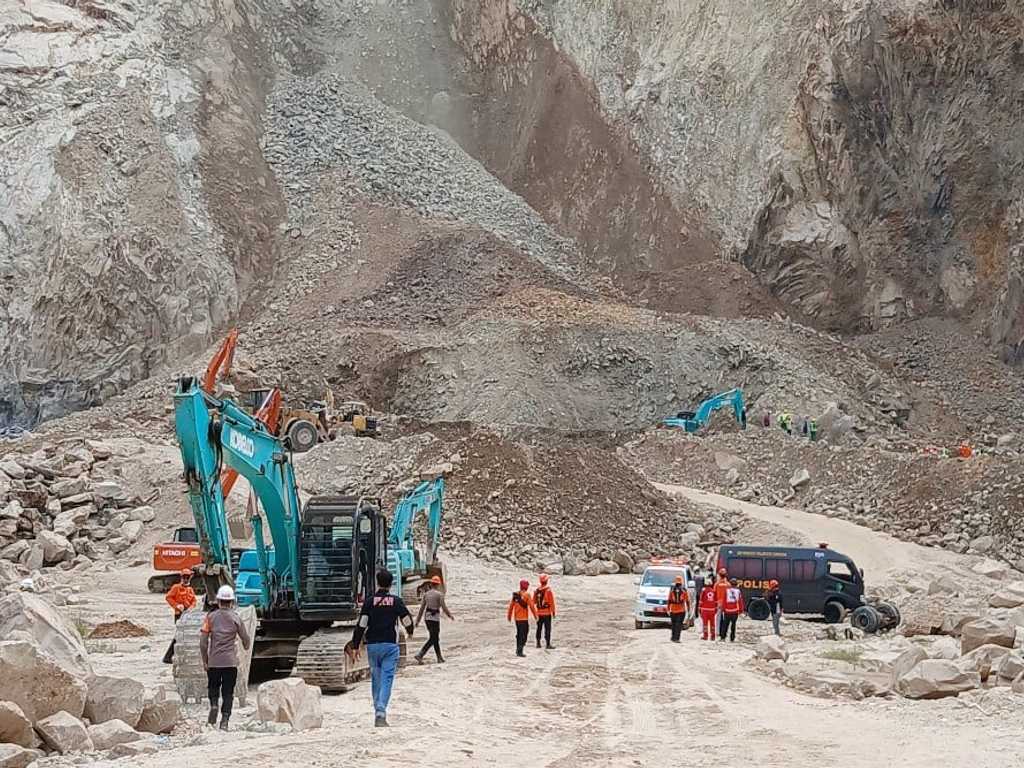 Search image article