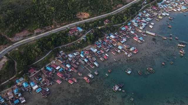 Search image article