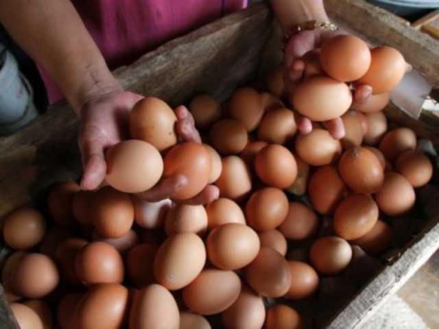 Search image article