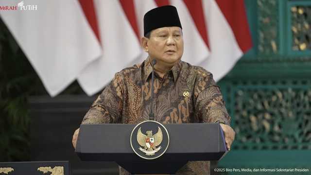 Search image article