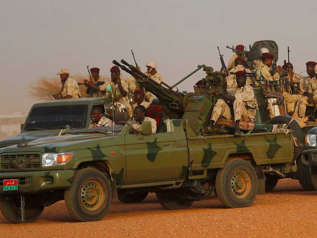 Search image article