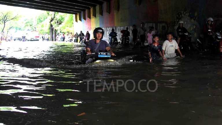 Search image article