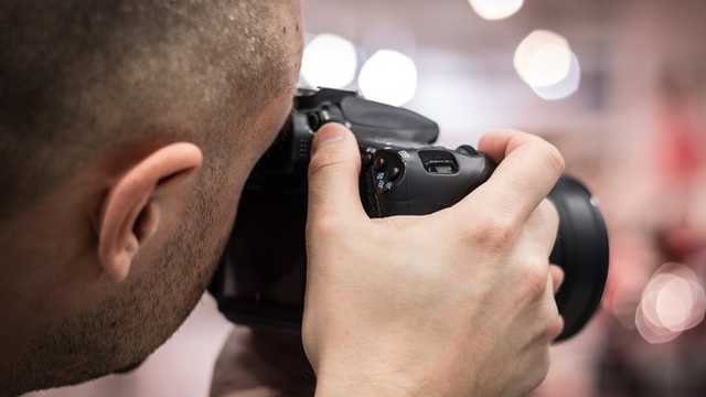 Search image article