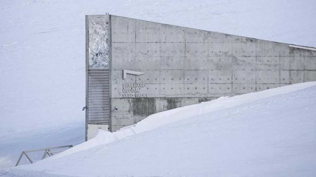 Di Arktik, Lumbung Pangan Terbesar Dunia Lindungi Benih dari Kiamat
