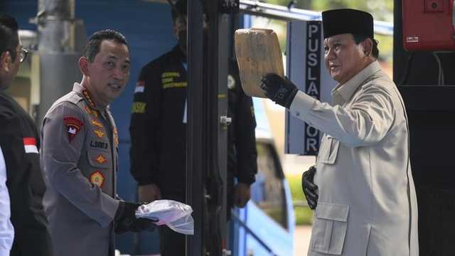 Search image article