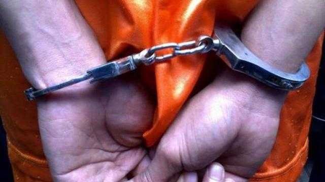 Search image article