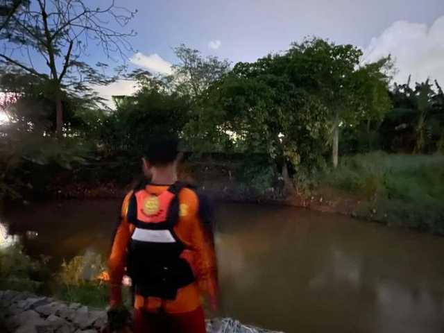 Search image article