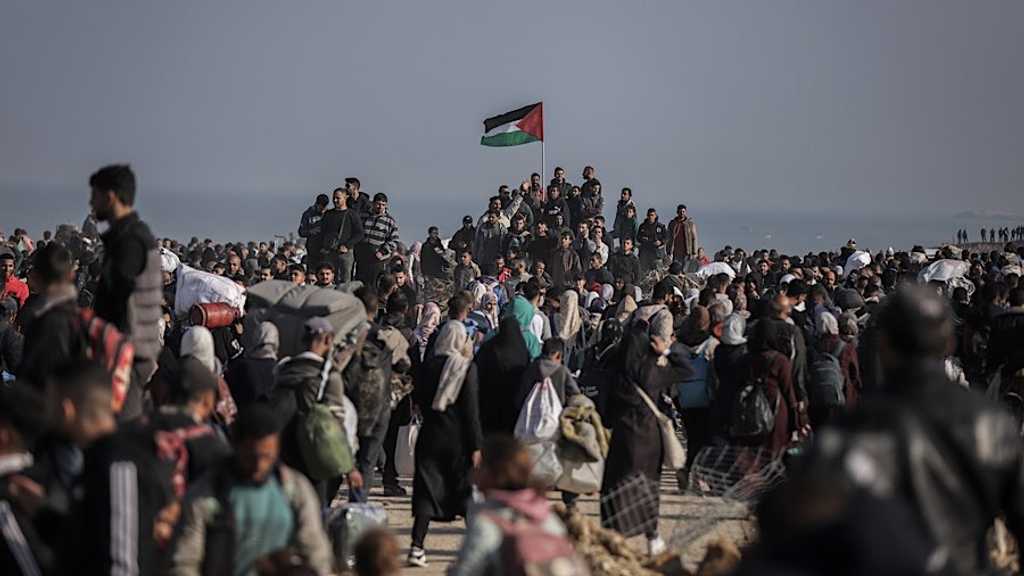 Search image article