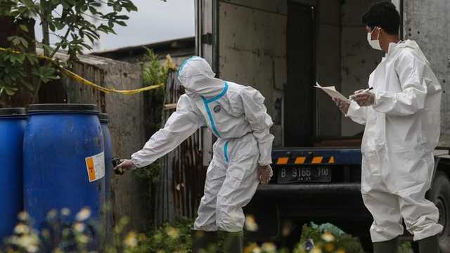 Search image article