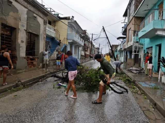 Search image article