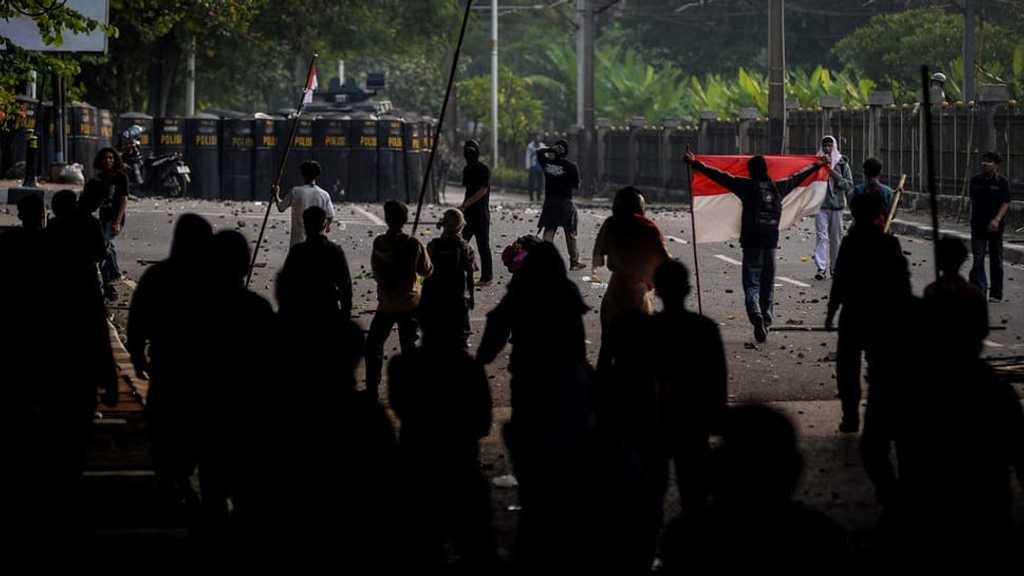 Search image article