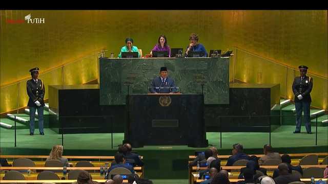 Search image article