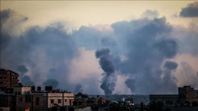 Search image article