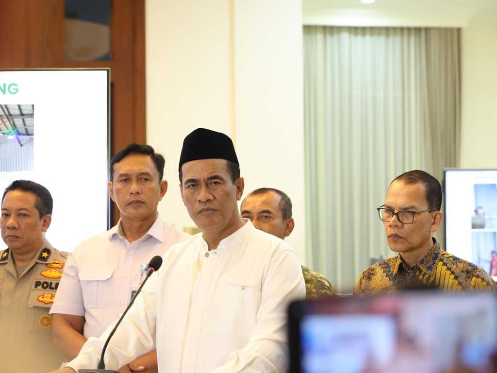 Search image article