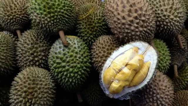 10 Ton Durian Ilegal Malaysia Banjiri Pasar, Petani Lokal Terancam Bangkrut