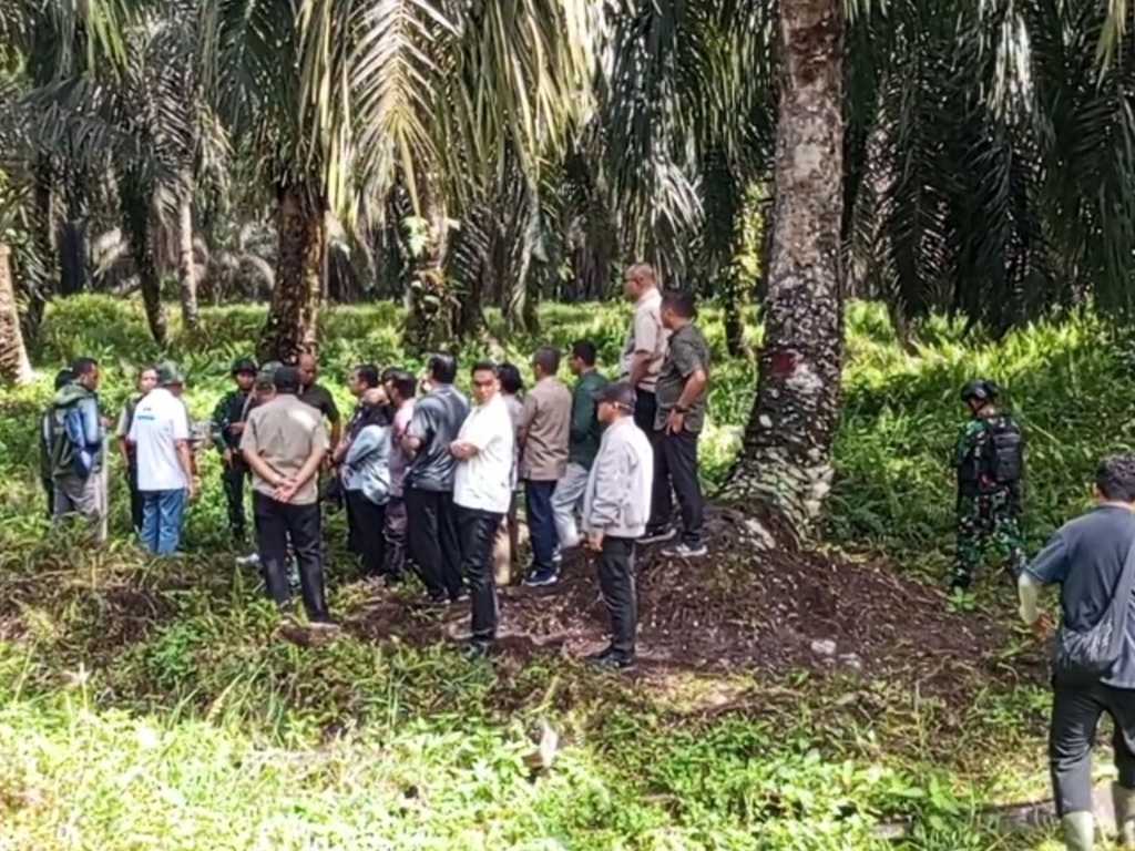 Pustaka Alam Ungkap: Satgas PKH Rebut 614 Ribu Hektar Kebun Sawit Petani