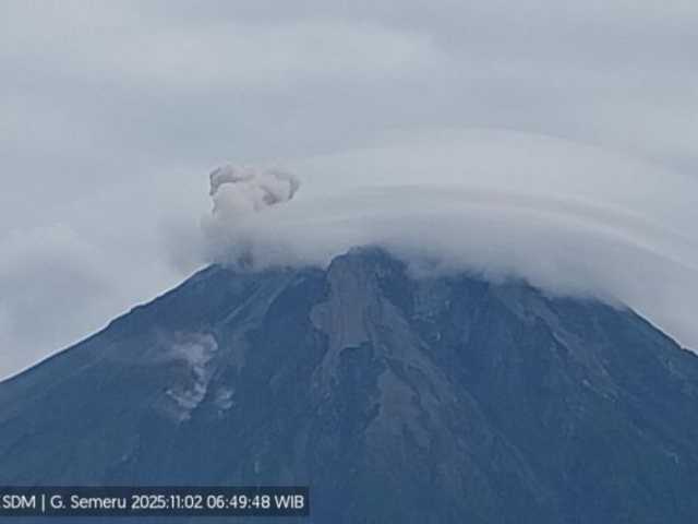 Search image article