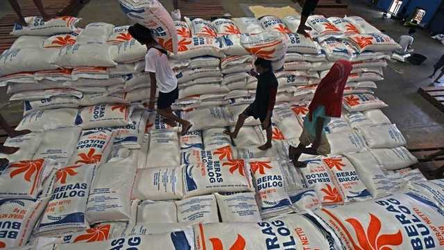 Search image article