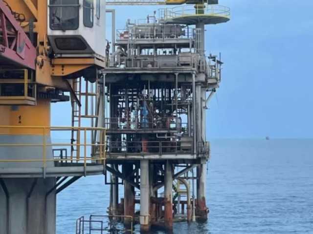 Search image article