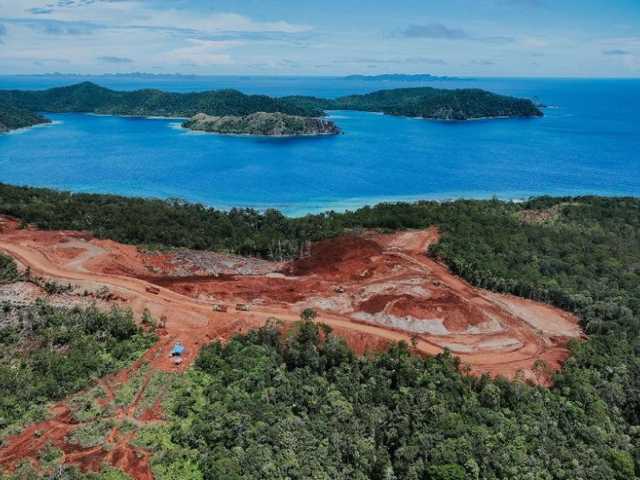 Search image article