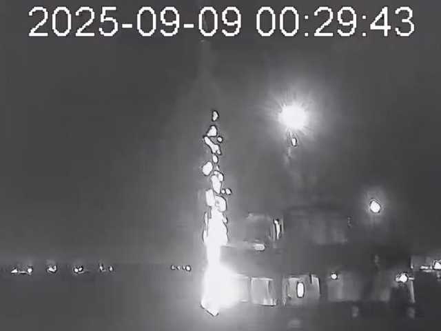 Search image article