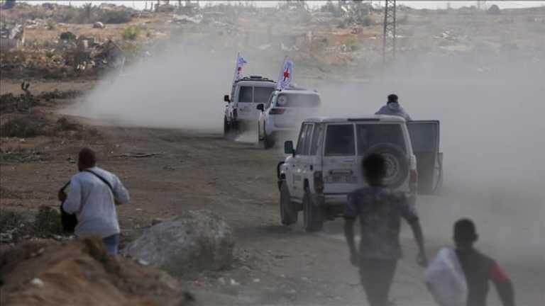 Search image article