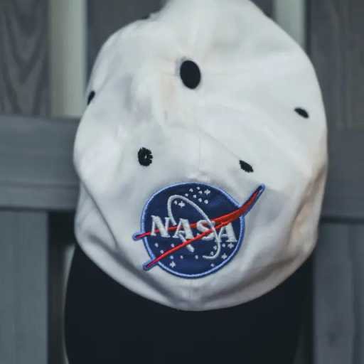 Search image article