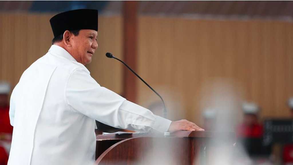 Search image article