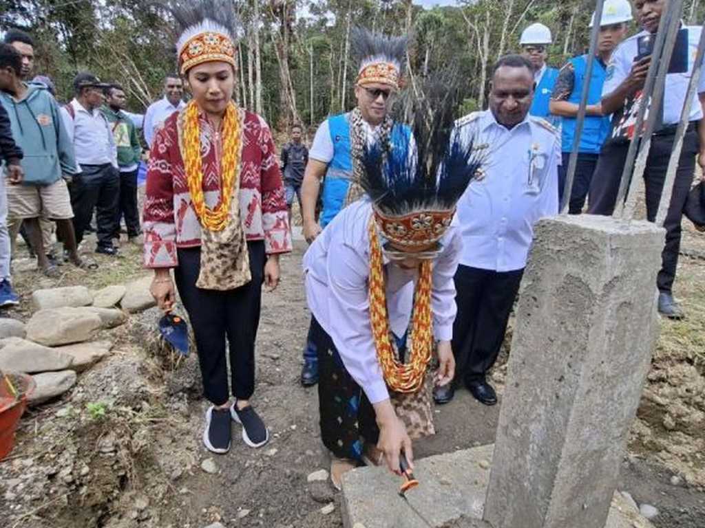 Search image article