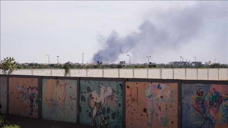 Search image article