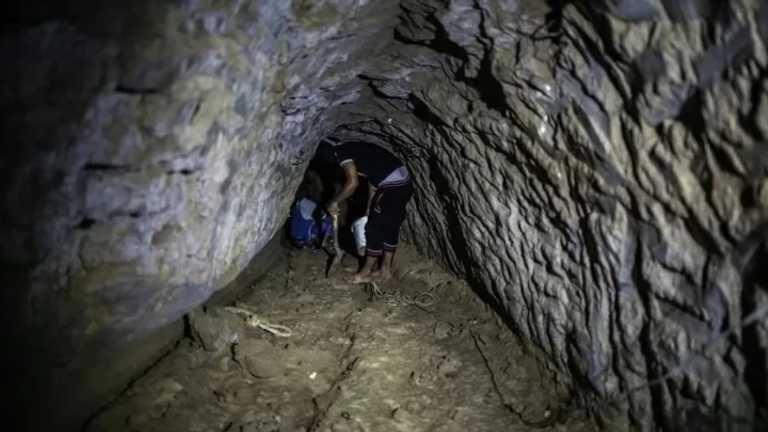 Search image article