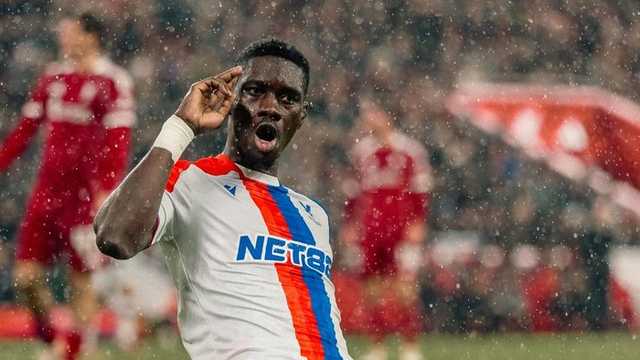 Search image article