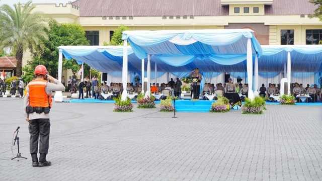 Search image article