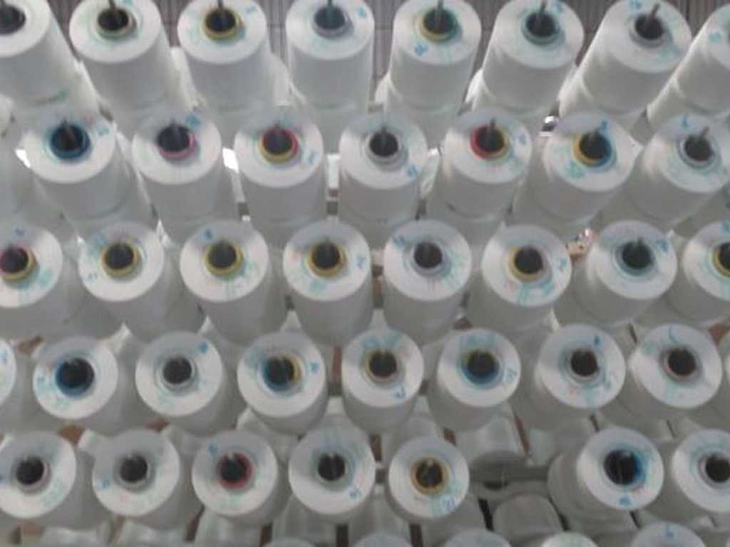 Search image article