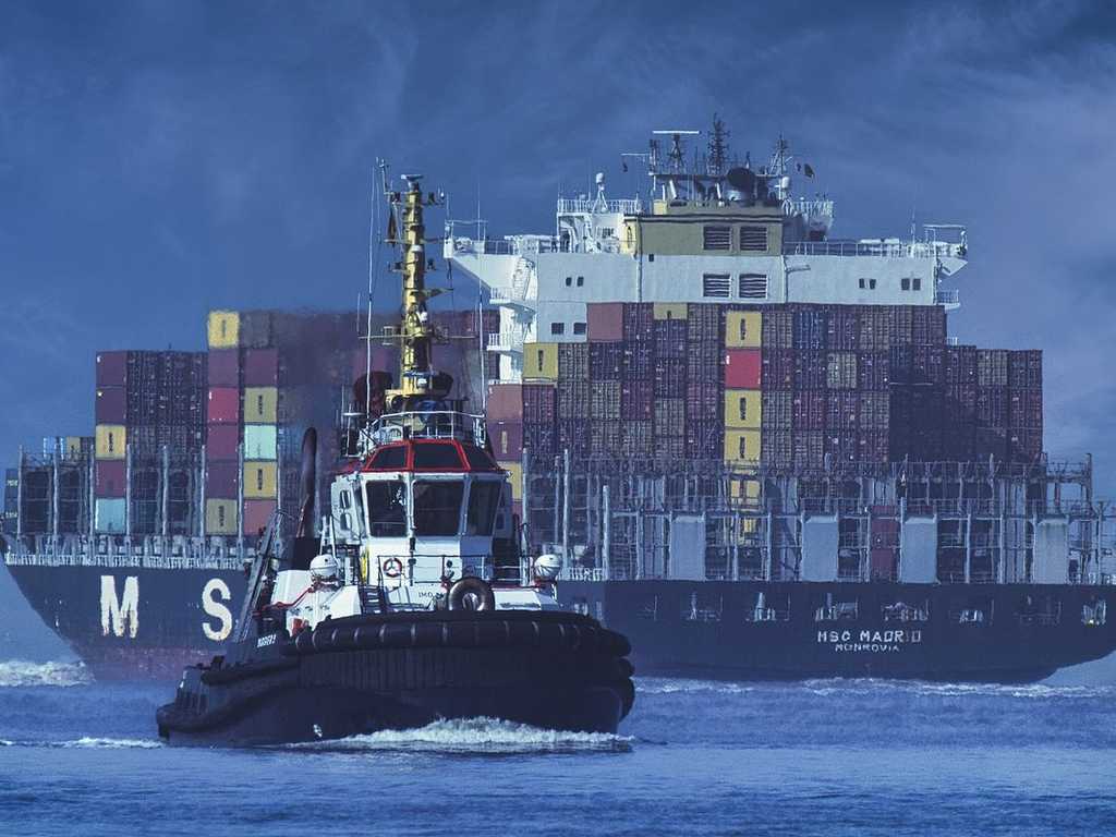 Search image article