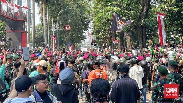 Search image article