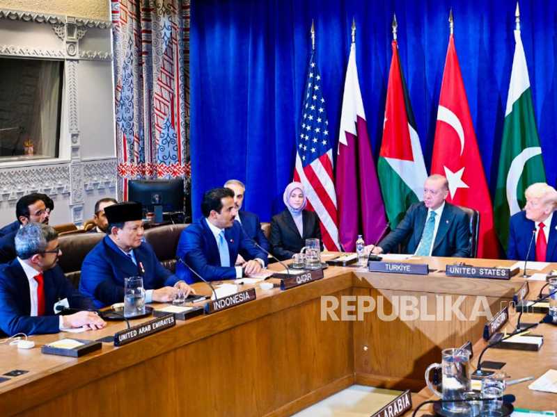 Search image article