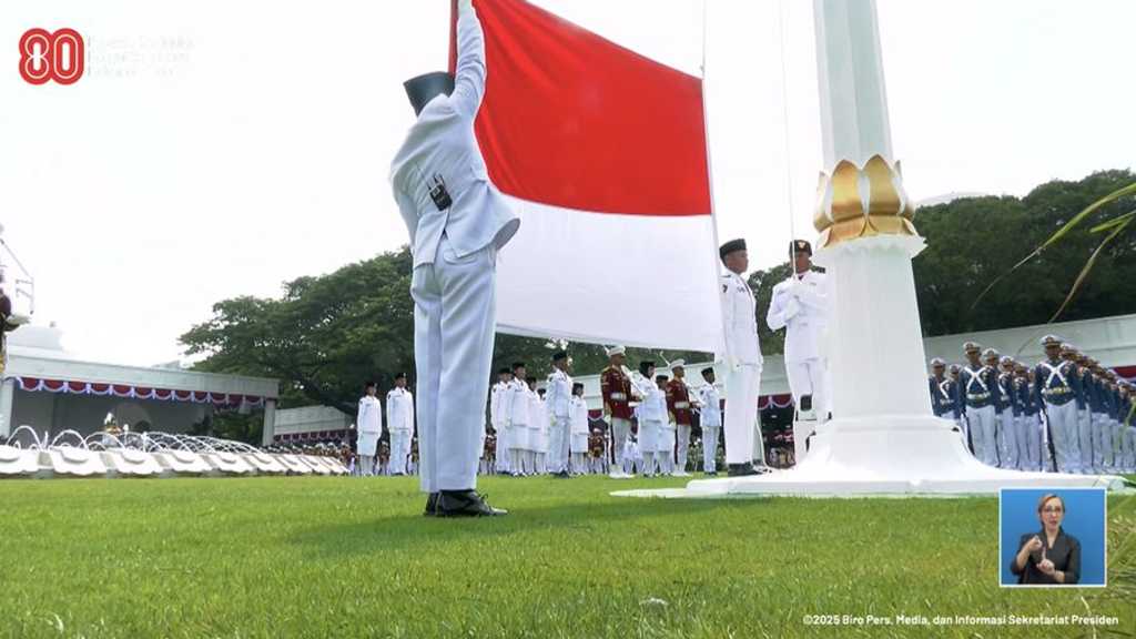 Search image article